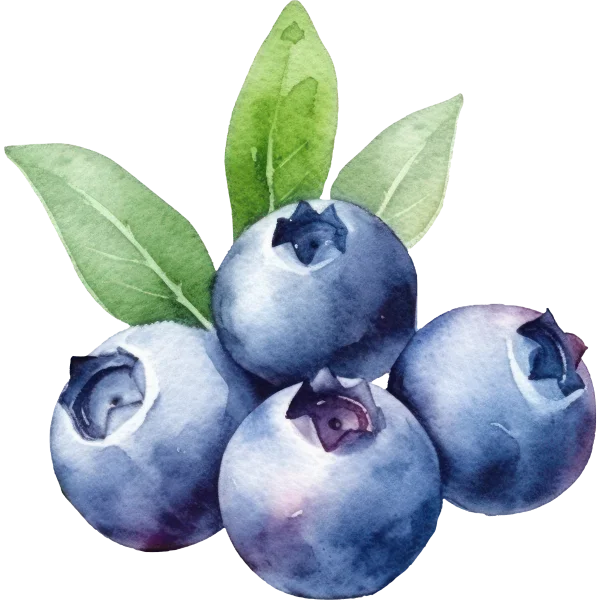 Khai trương chi nhánh mới tại Bắc Giang